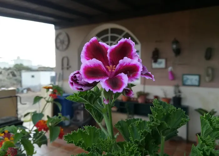 Casa Papi Séjour chez l'habitant Lajares